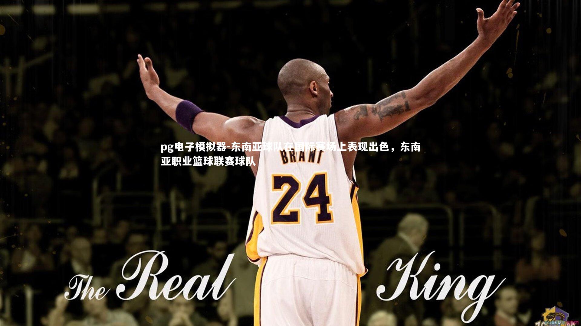 pg电子模拟器-东南亚球队在国际赛场上表现出色，东南亚职业篮球联赛球队